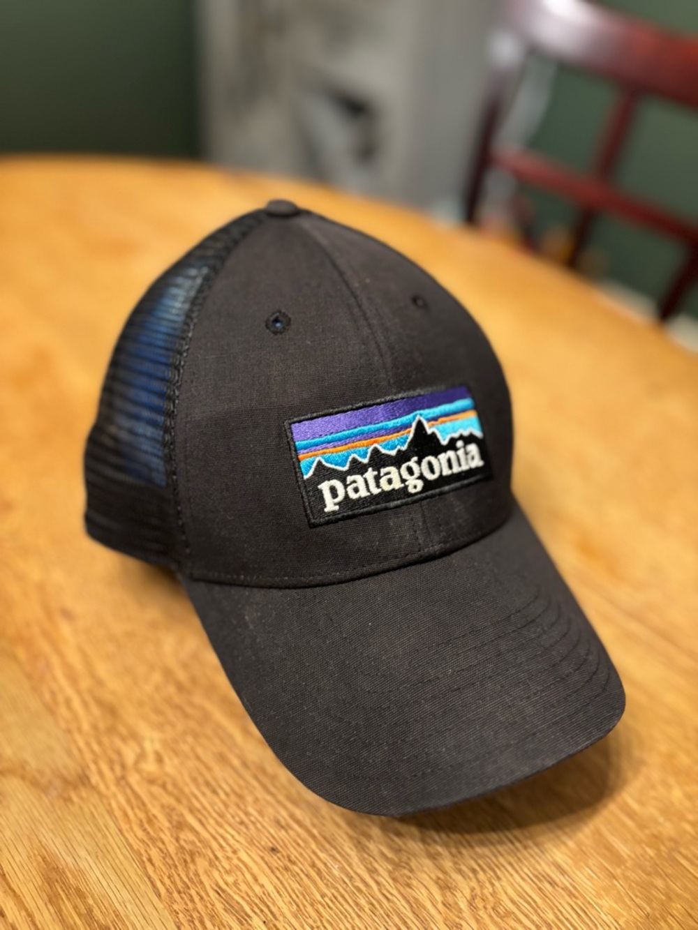 Patagonia Black Trucker Hat